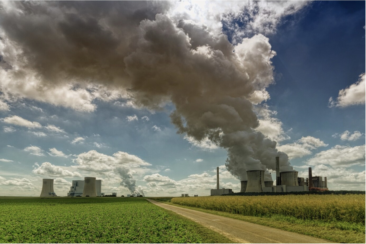 Sanção da Lei do Mercado de Carbono incentiva cooperativas agro