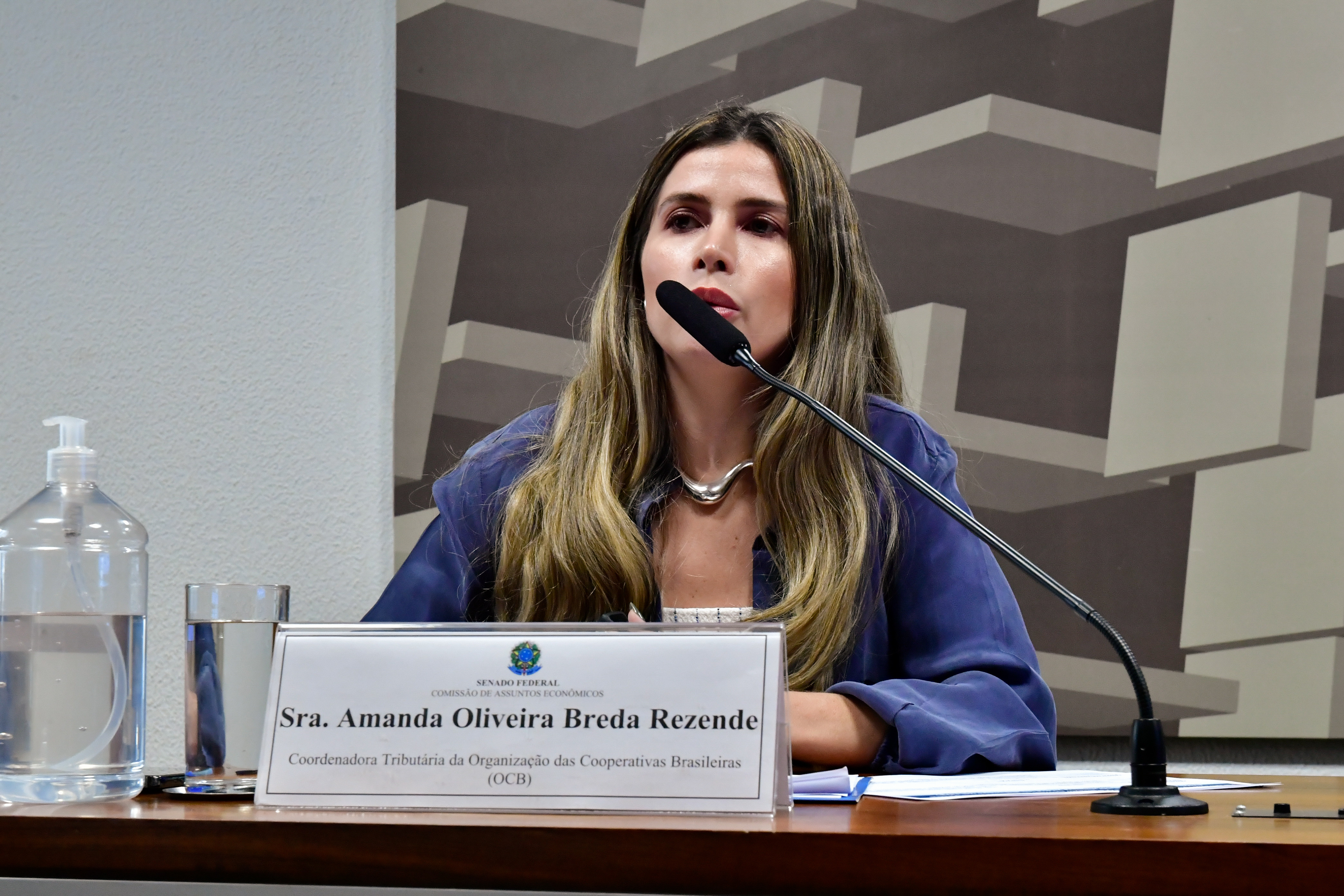 Amanda Rezende, representante do Sistema OCB, falou sobre as especificidades do cooperativismo