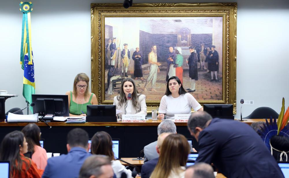 Sessão deliberativa da CCJC aprovou alterações na Taxa de Controle de Fiscalização Ambiental. Foto: Vinicius Loures/CD