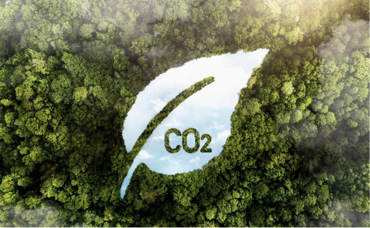Uma empresa é carbono neutro quando compensa as emissões de gases de efeito estufa associadas às suas operações.