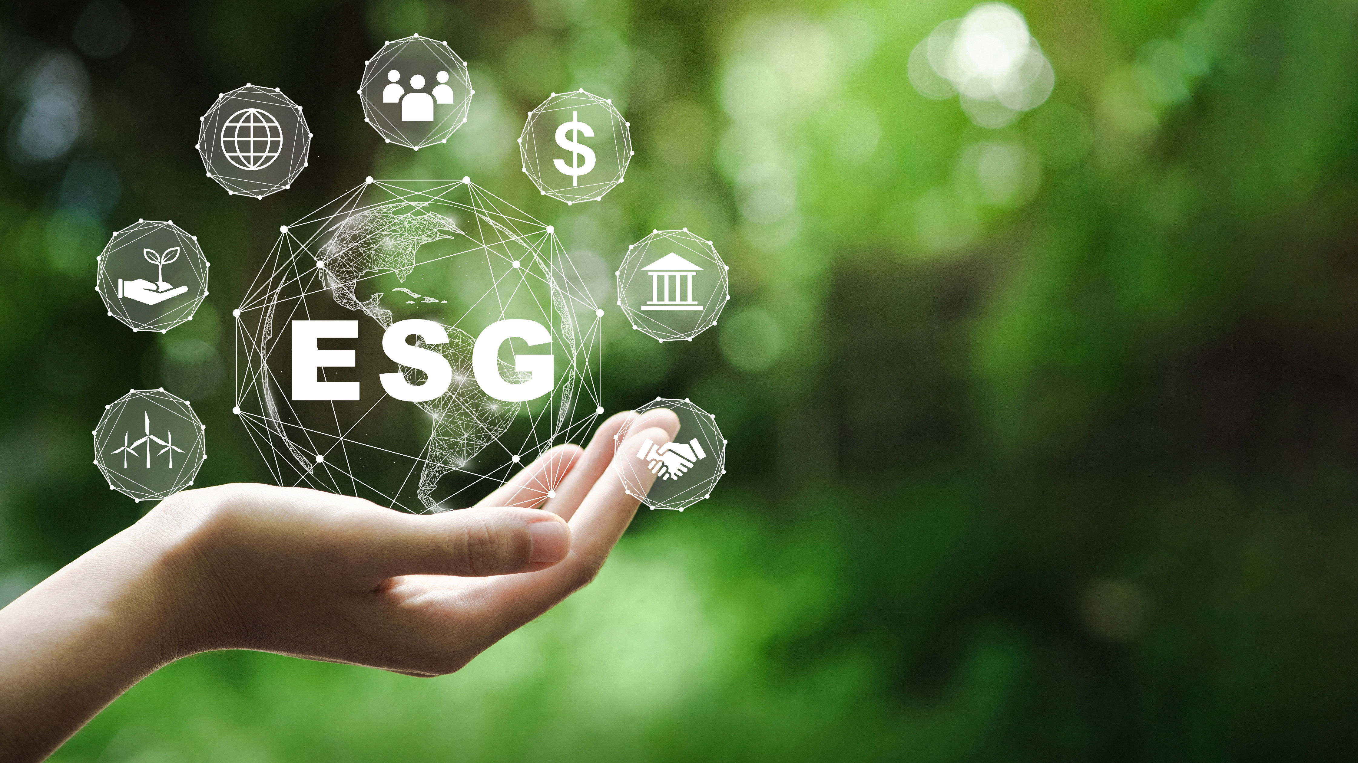Quer inovar na pauta ESG? Fique atento às tendências para 2024