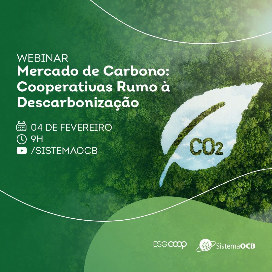 Webinar debate Mercado de Carbono