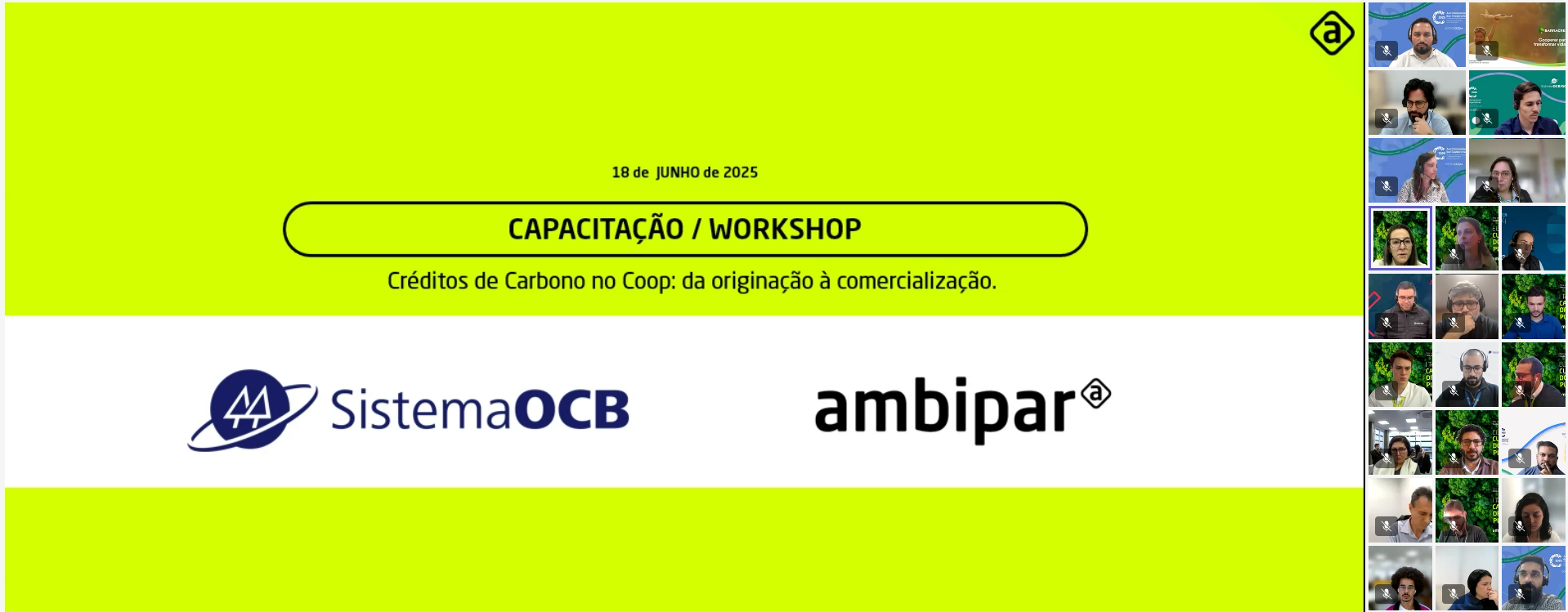Sistema OCB promove workshop sobre créditos de carbono para coops 