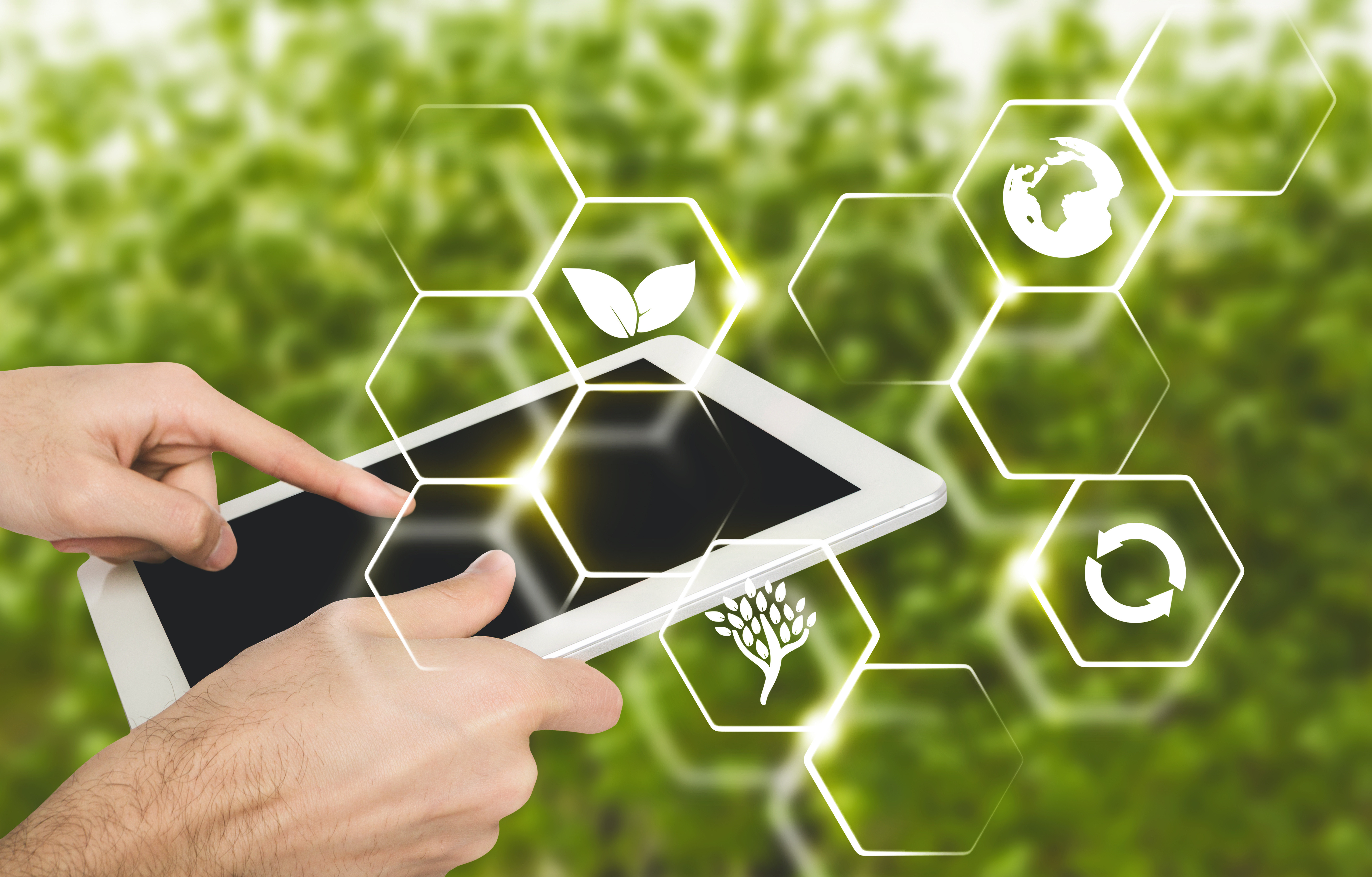 Intercooperação de coops agropecuárias cria novo modelo de negócio de vendas digitais 