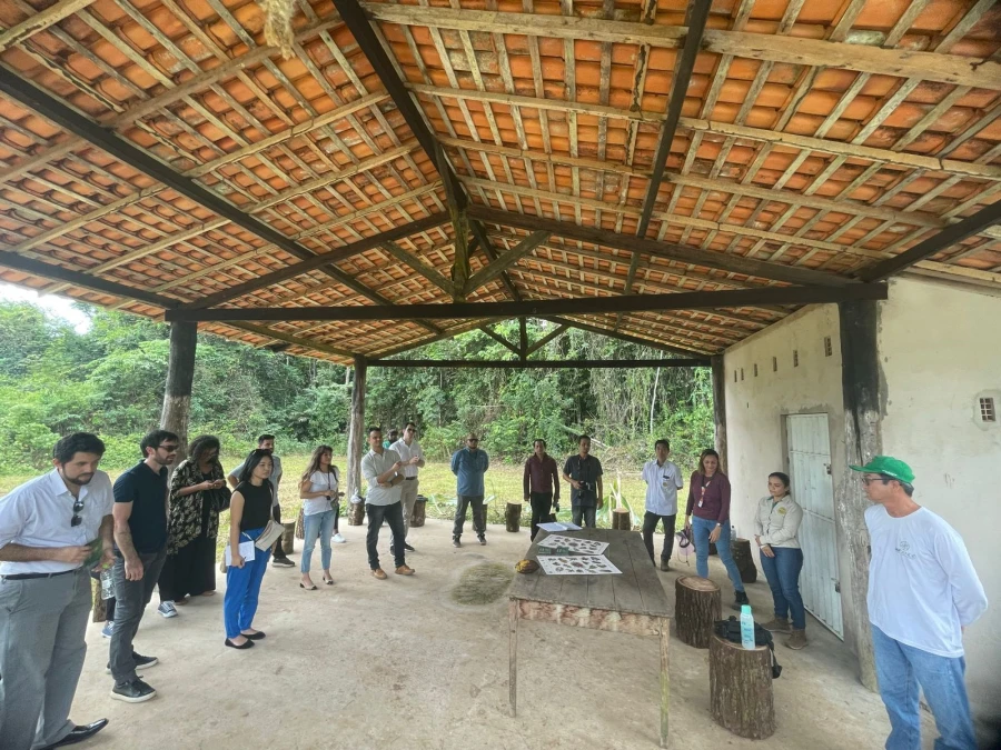 Cúpula da Amazônia